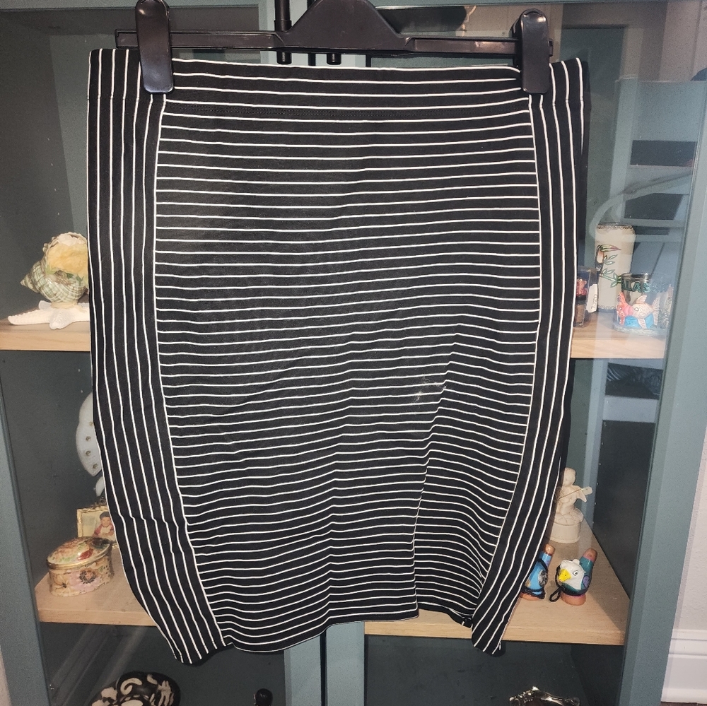 Max Studio skirt
